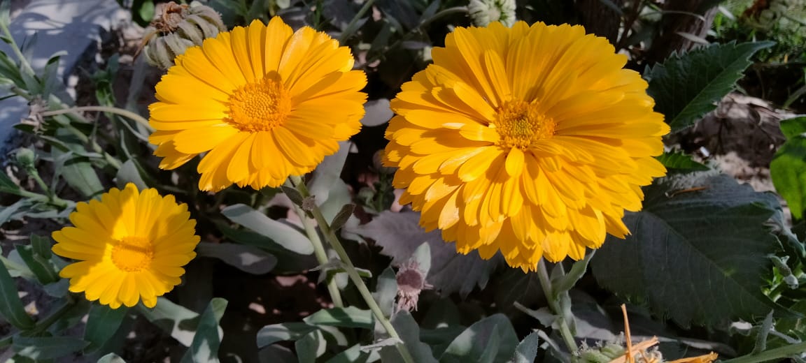 Change your look and your attitude